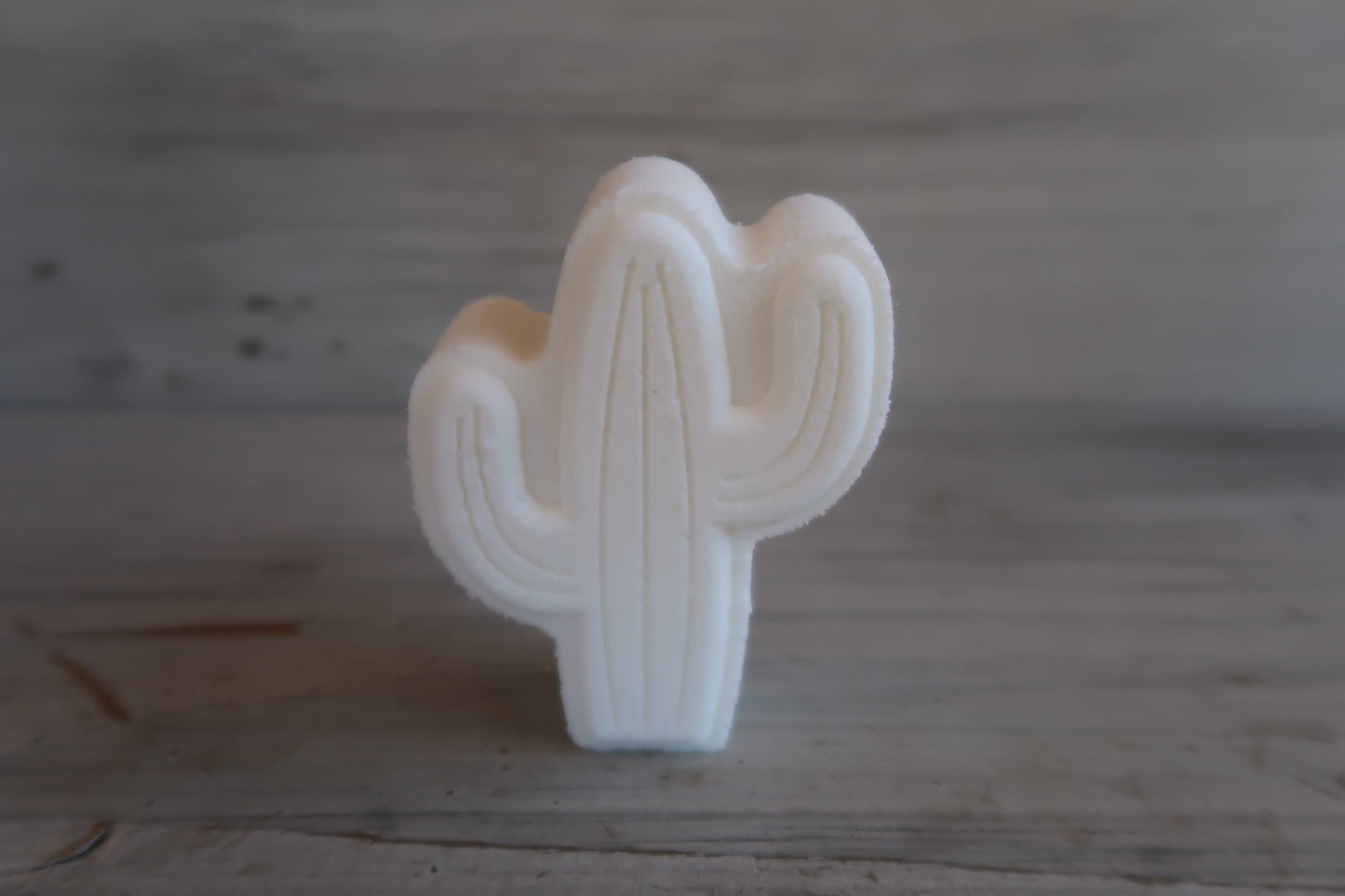 Saguaro Cactus Bath Bomb Mold